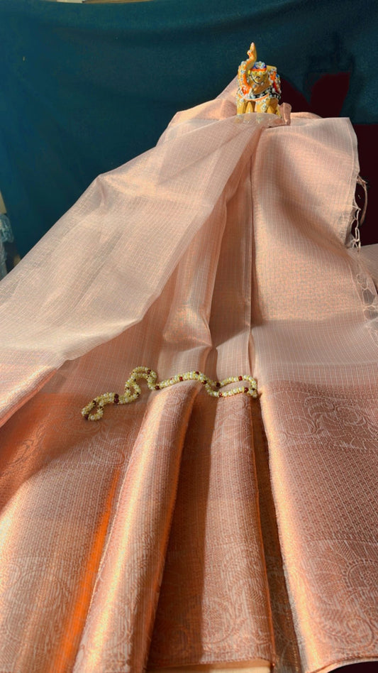 Tissue saree with brocade contrast
